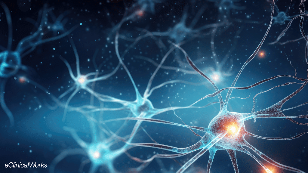 Endocrine system nerve cells